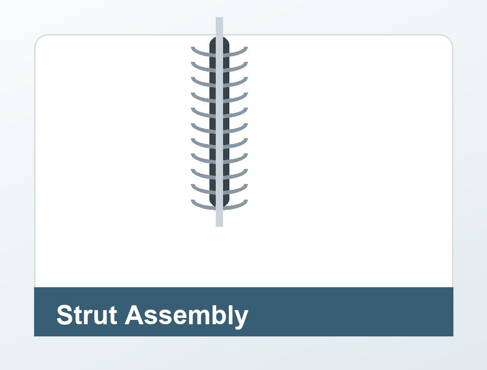 Complete Strut Assembly
